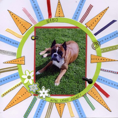 Nabis, notre chien adoré