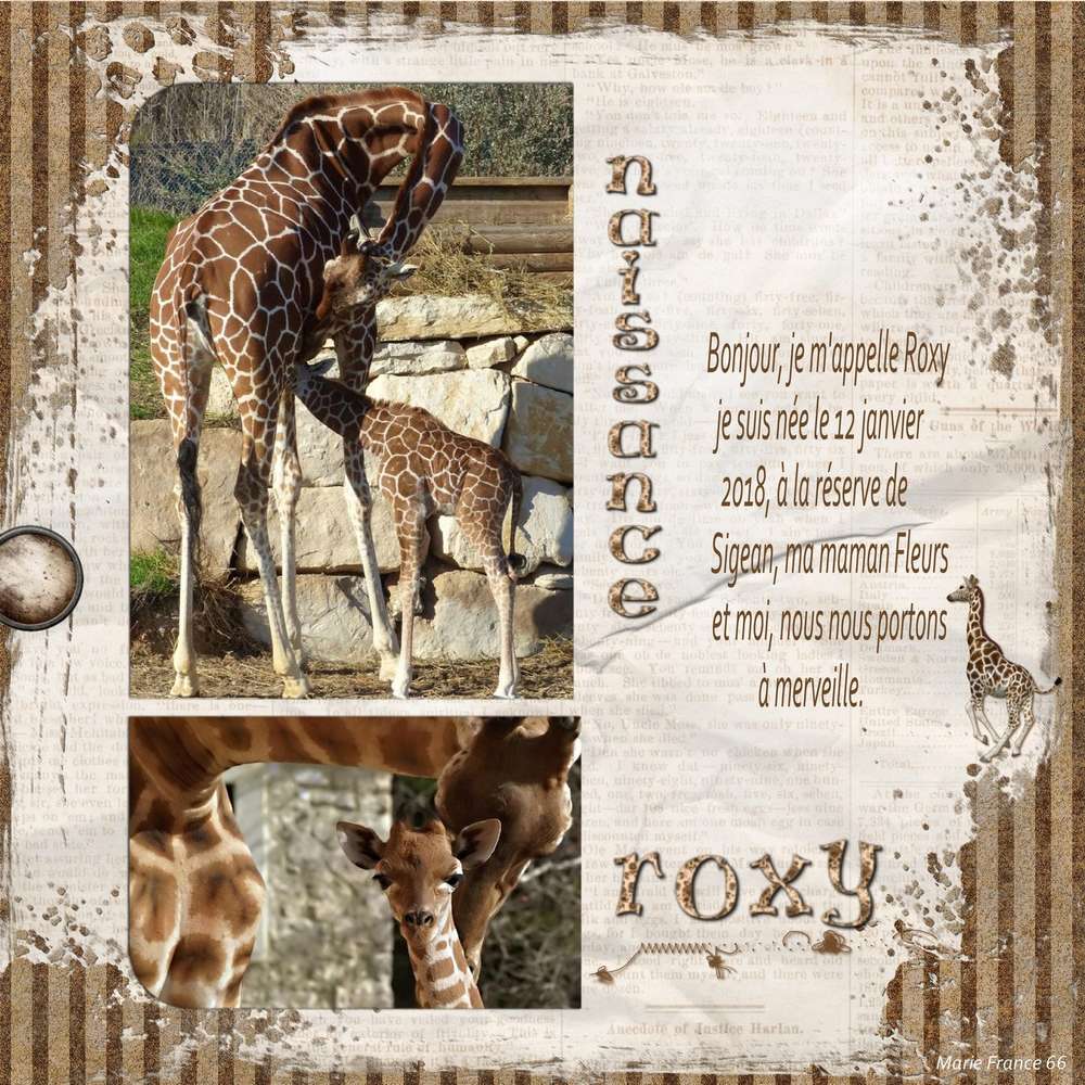 NAISSANCE A LA RESERVE DE SIGEAN