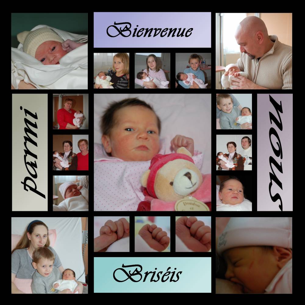 naissance de ma puce bris