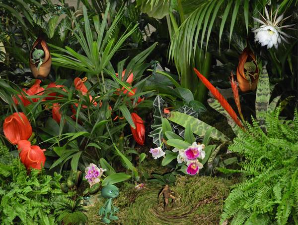 Naissance d'une mandragore