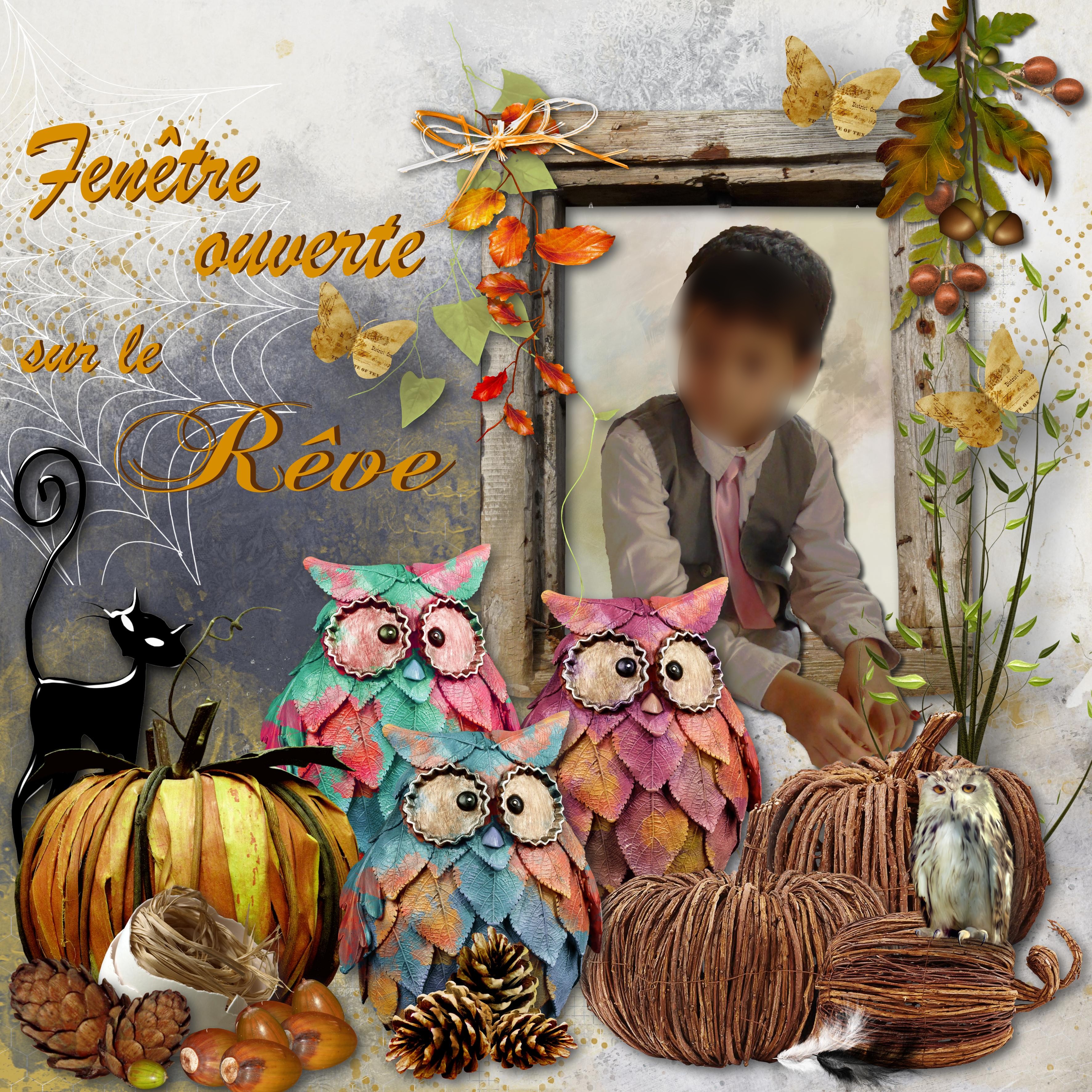 Nathan fenêtre rêve galerie.jpg