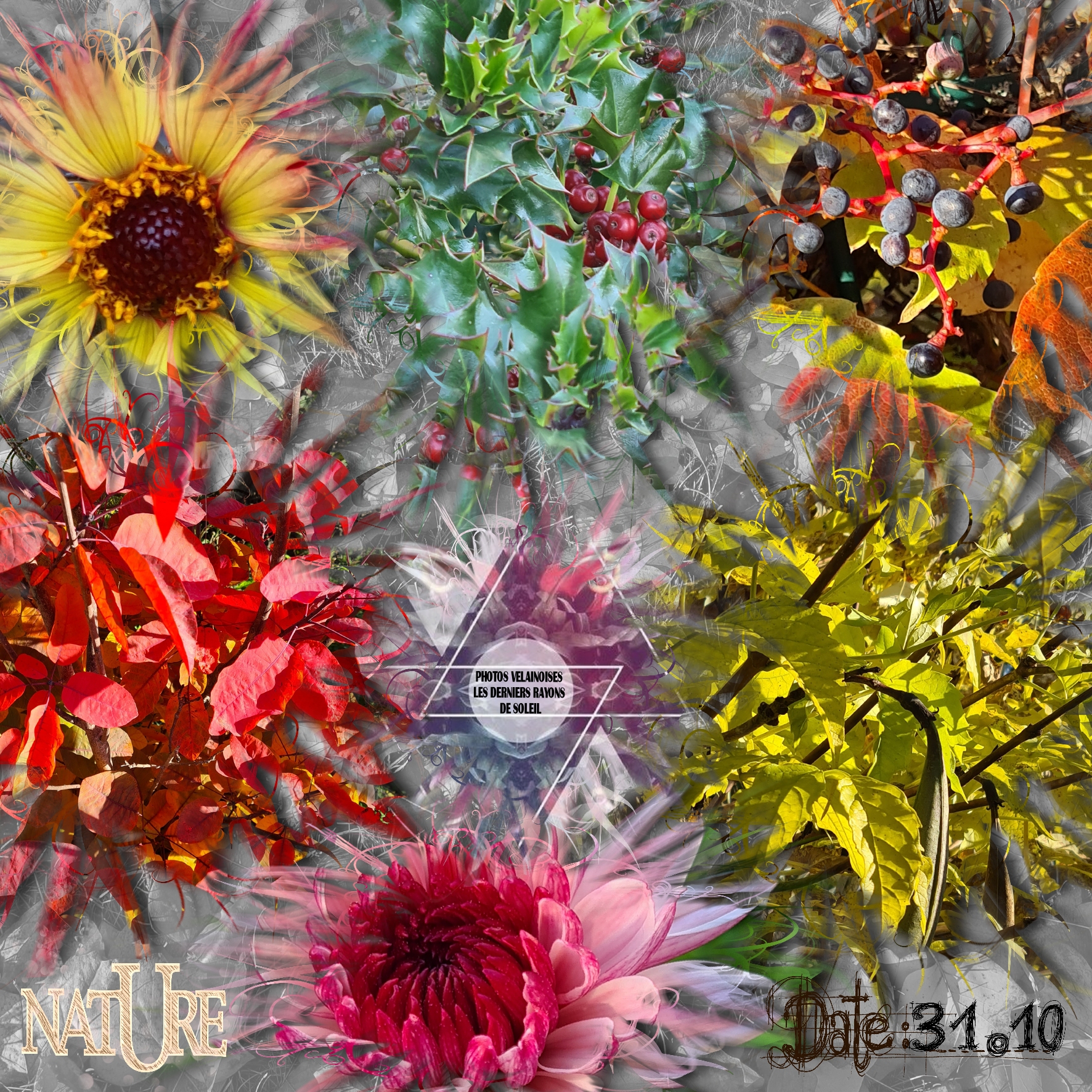 NATURE AUTOMNALE 31.10.2020.jpg