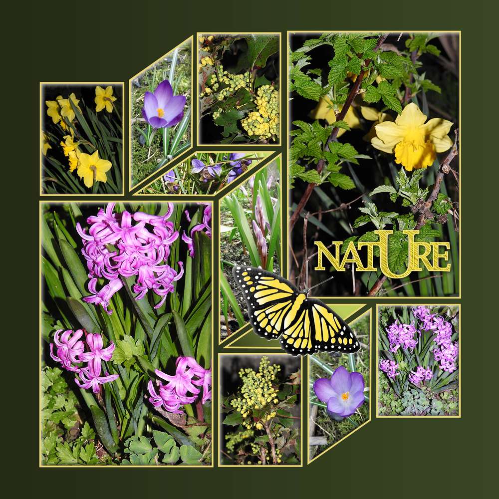 NATURE -  BEAUTE PRINTANIERE