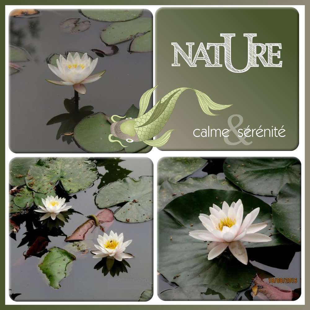 NATURE - CALME ET SERENITE