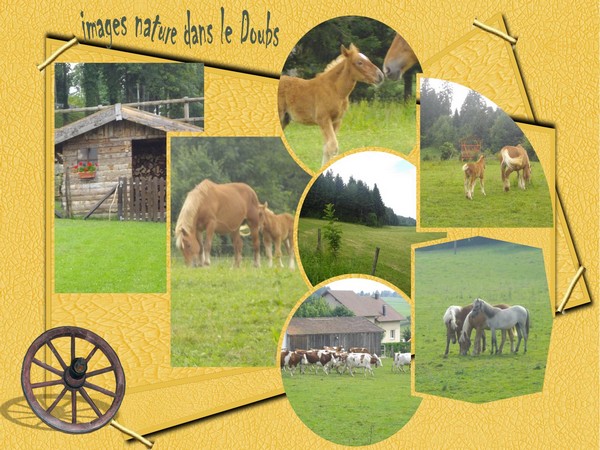 Nature dans le Doubs