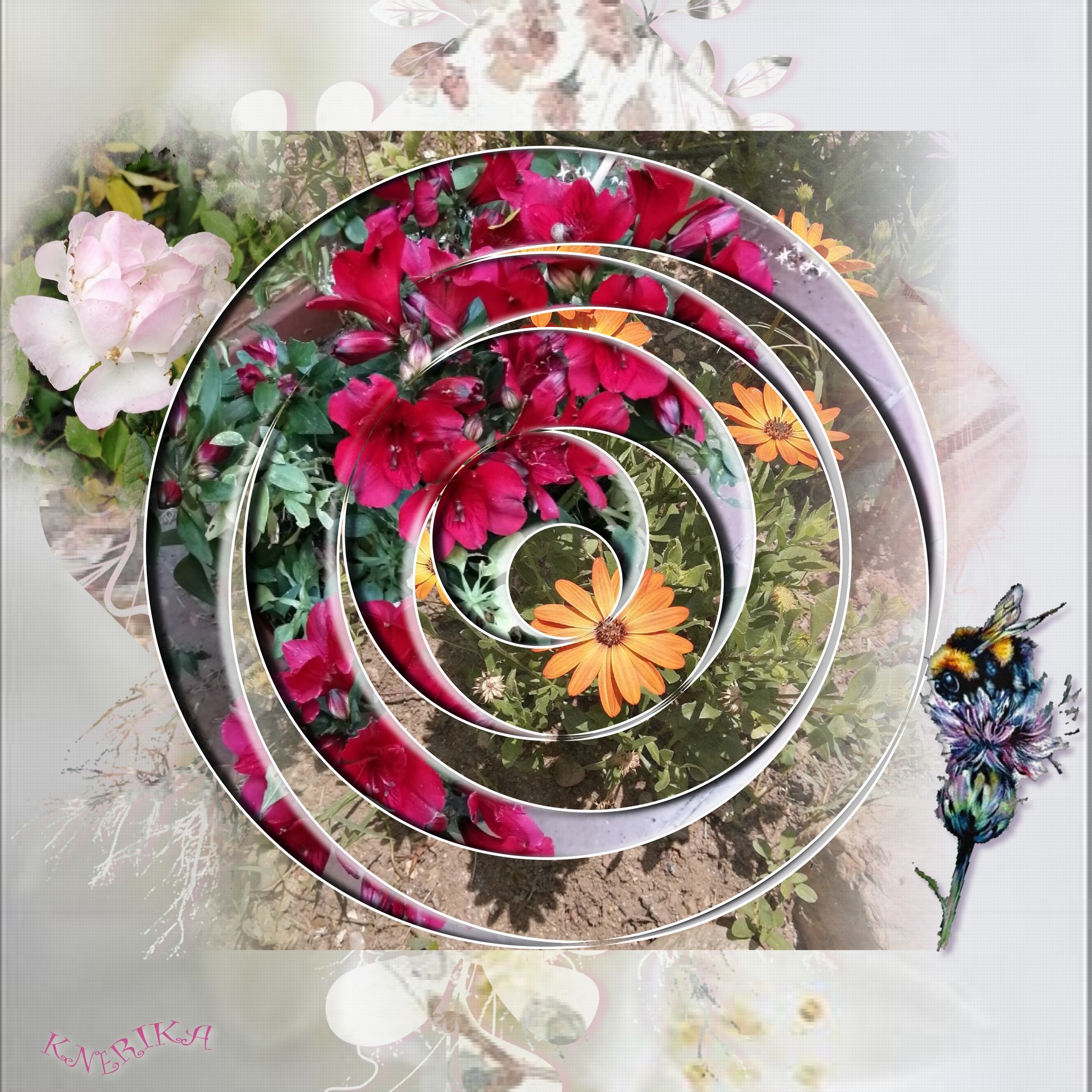 Nature en spirale_Anne Marie.jpg