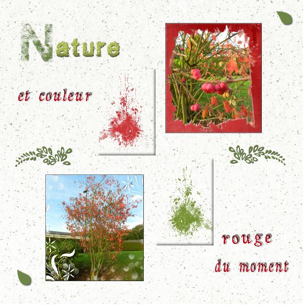 Nature et couleur rouge du moment.jpg