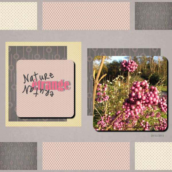 Nature étrange ou étrange Nature