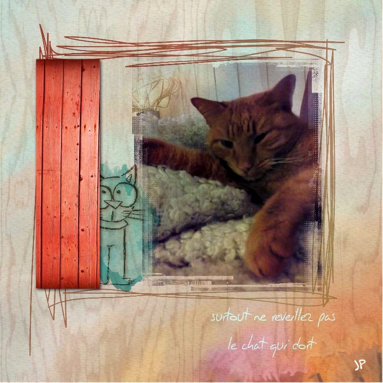 ne reveillez pas le chat qui dort.jpg