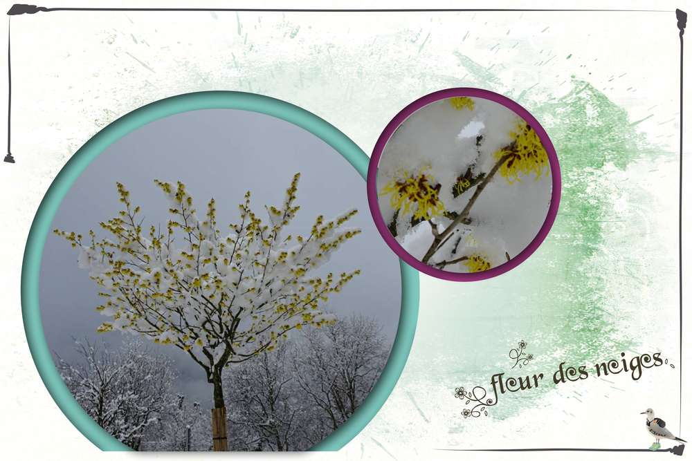 neige à Bad Reichenhall