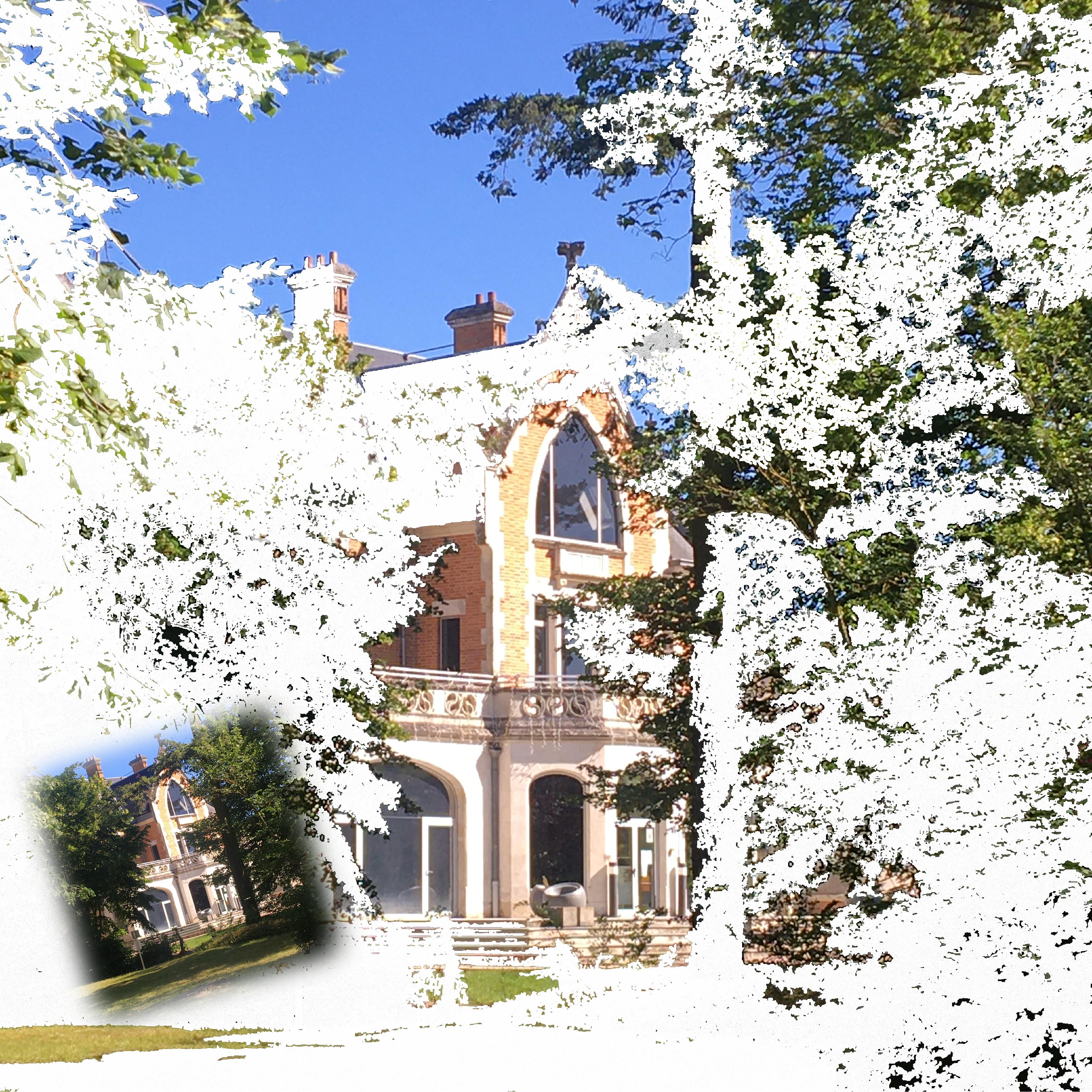 neige à la baguette magique.jpg