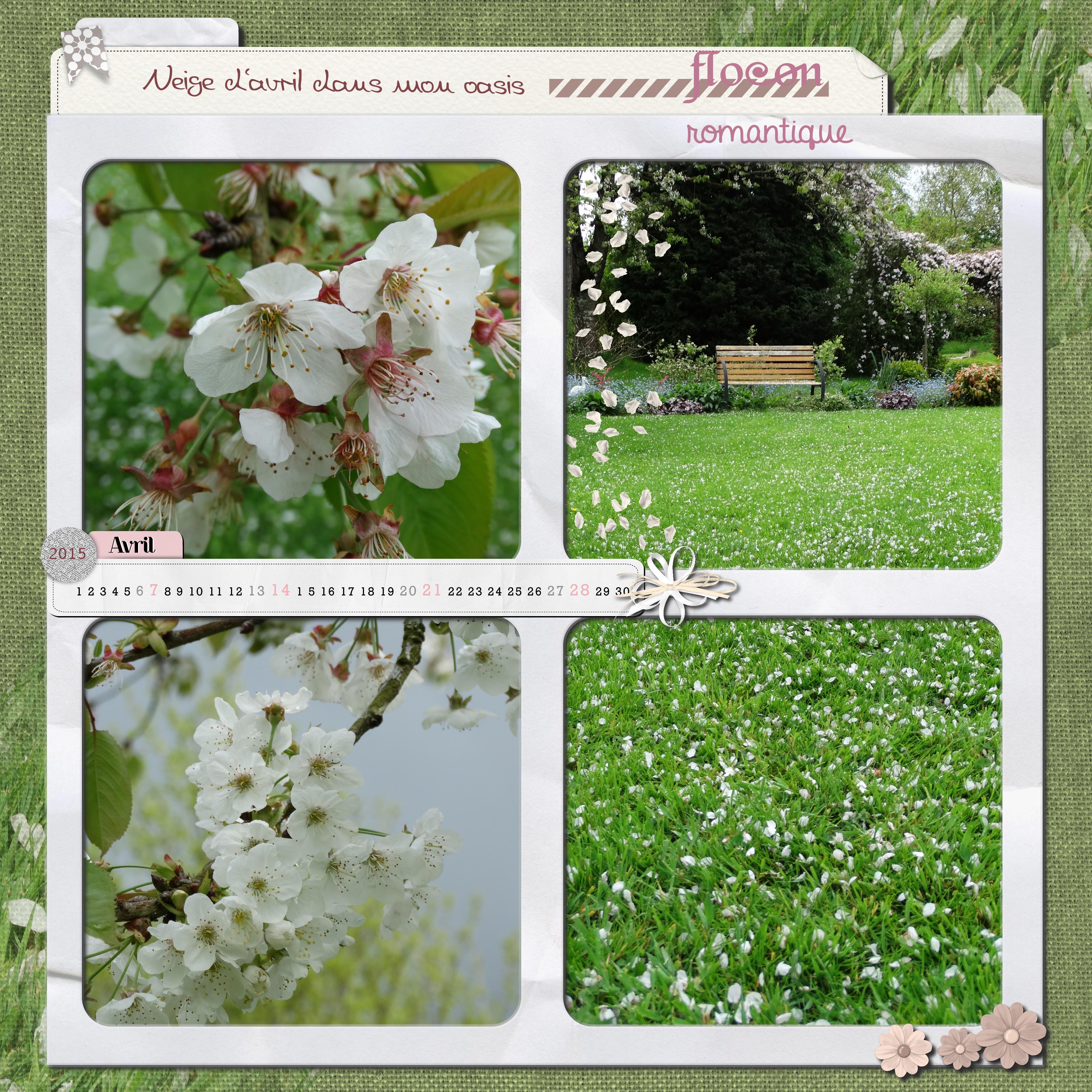 neige de pétales.jpg