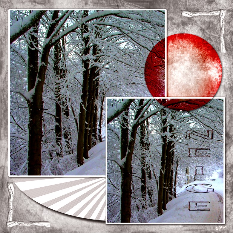 NEIGE du_17-01-21.jpg