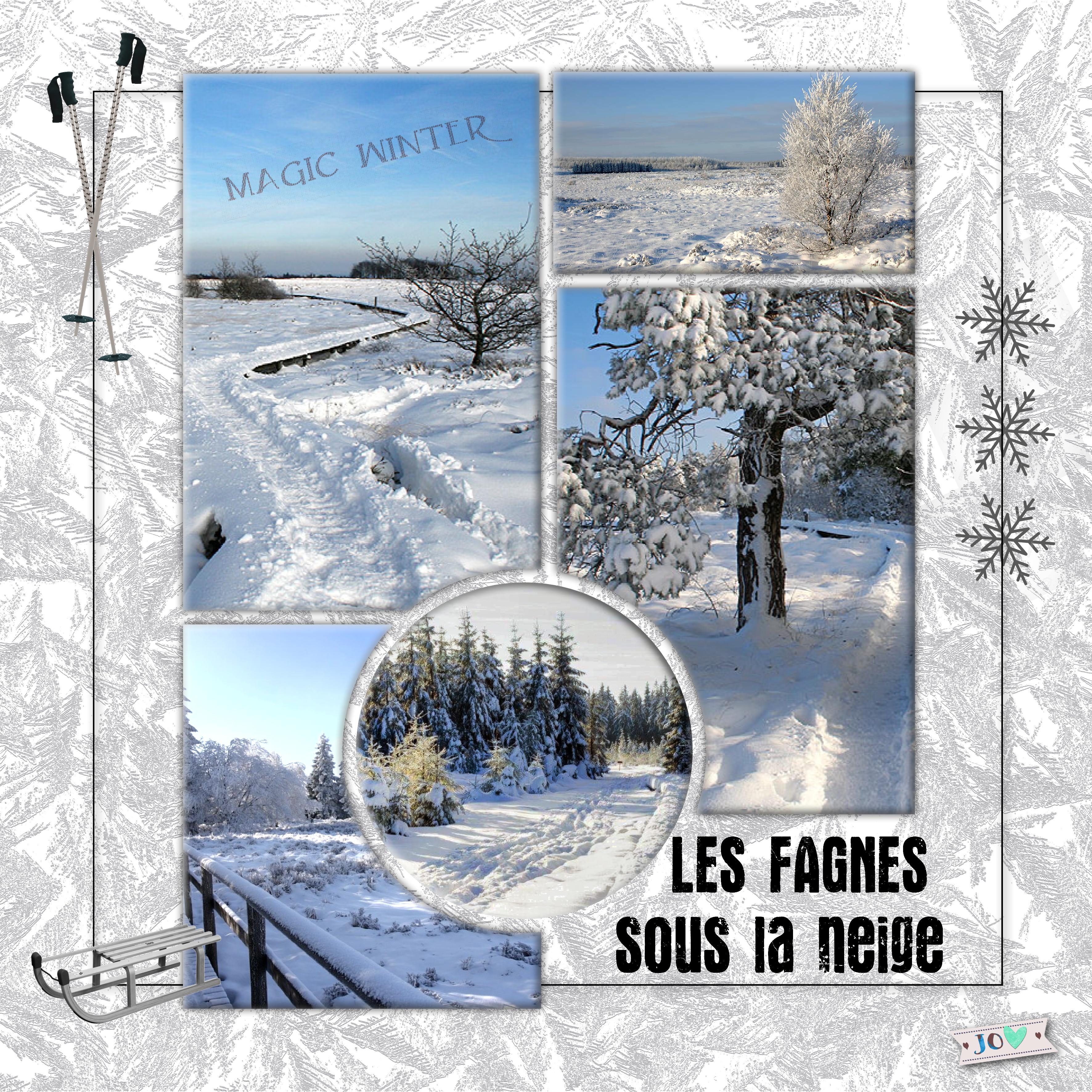 Neige en fagnes