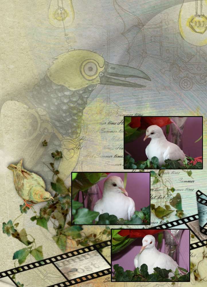 Neige et son nouveau nid