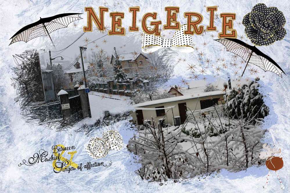 neigerie