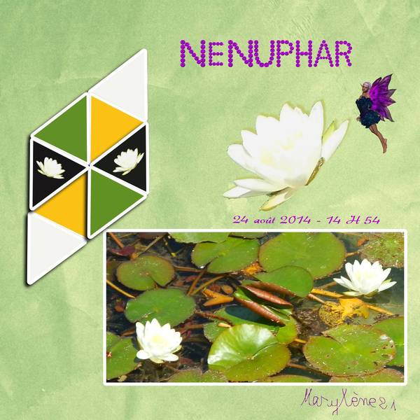NENUPHAR