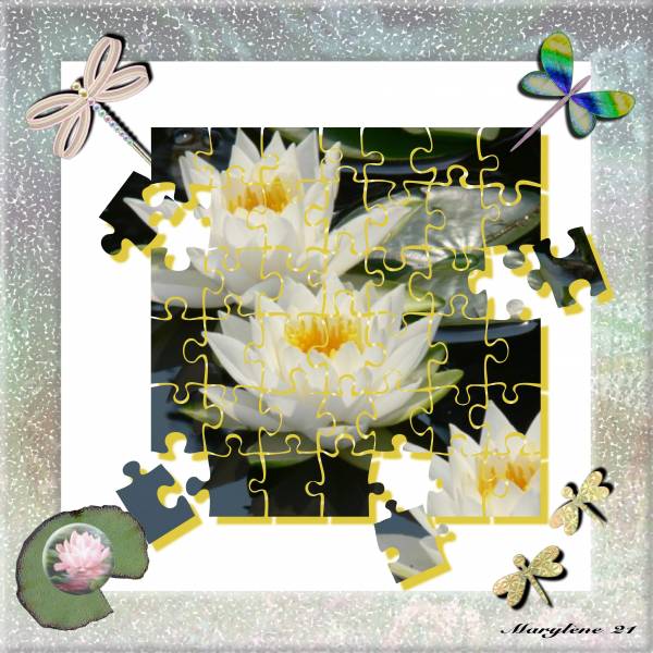 NÉNUPHARS Défi BOUVIER