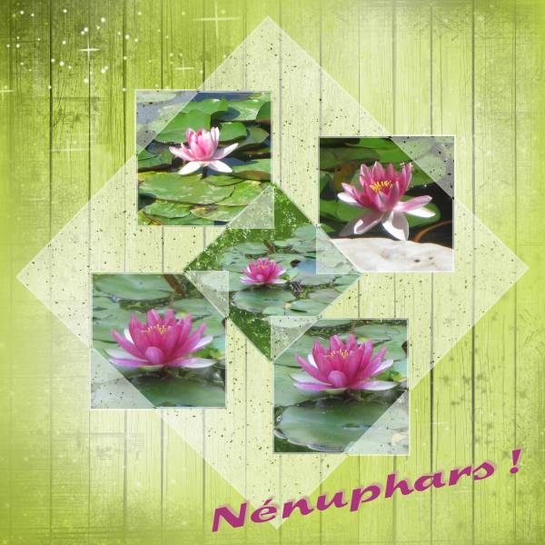 Nénuphars