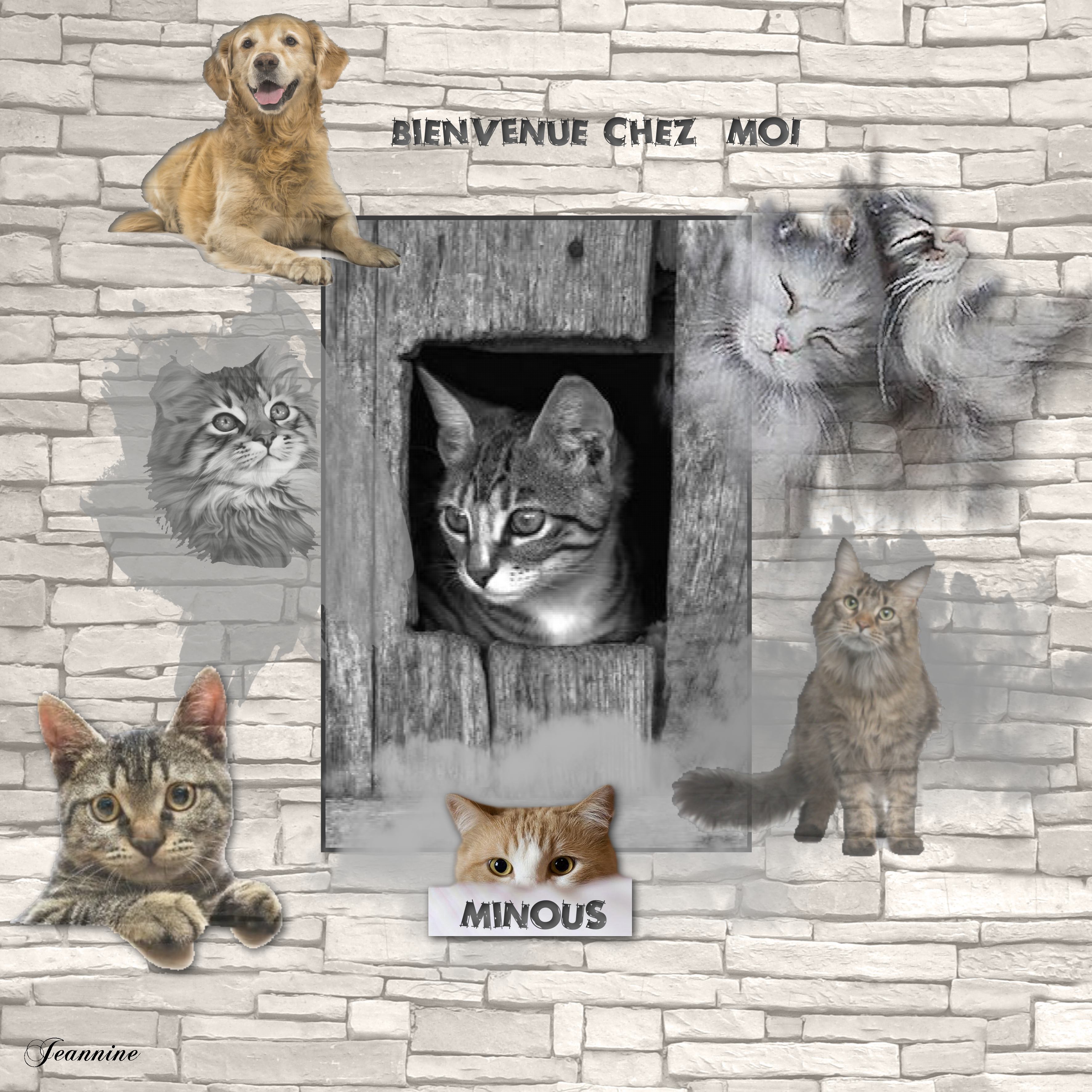 Niche du chien_ par Jeannine  jpg