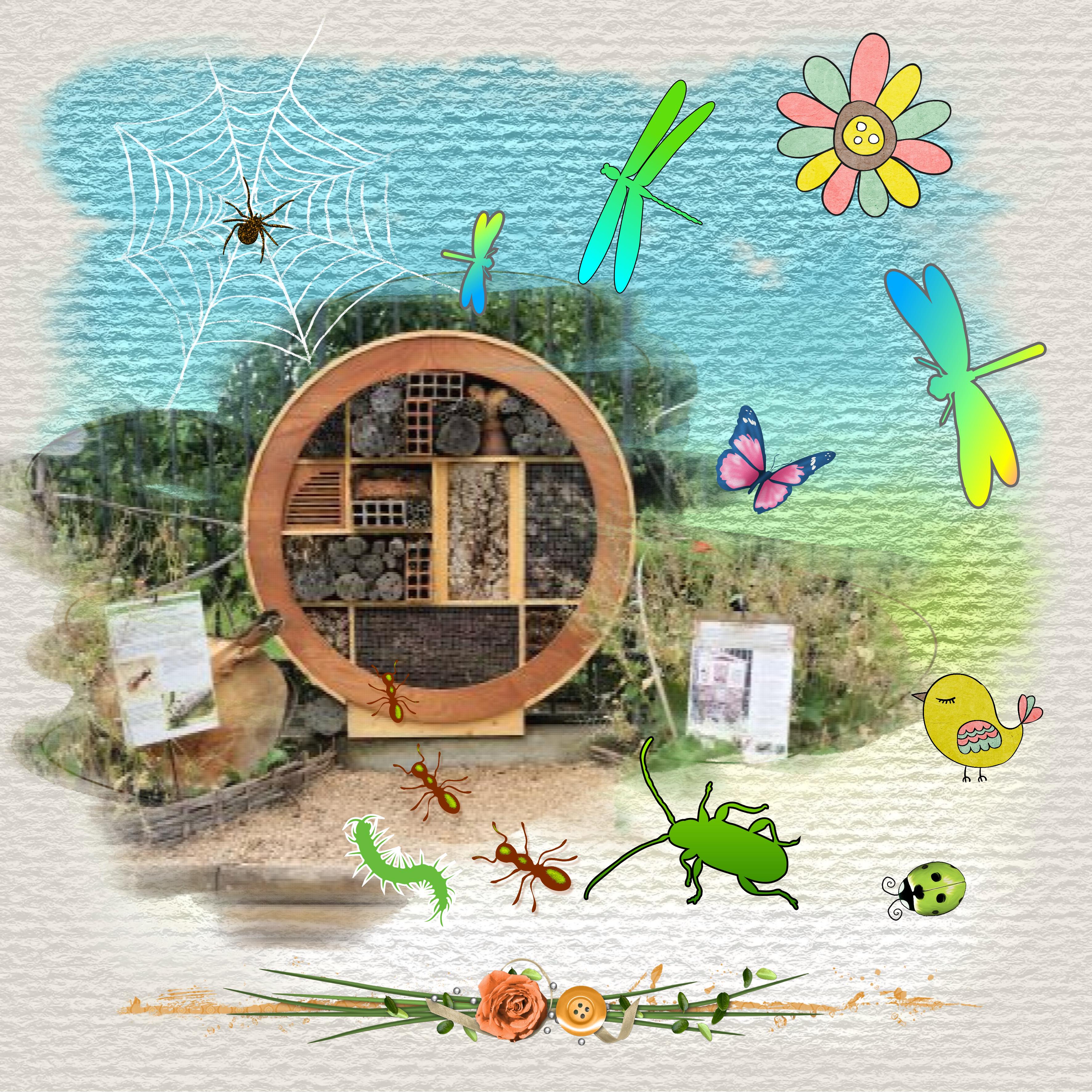 Nichoir à insectes.jpg