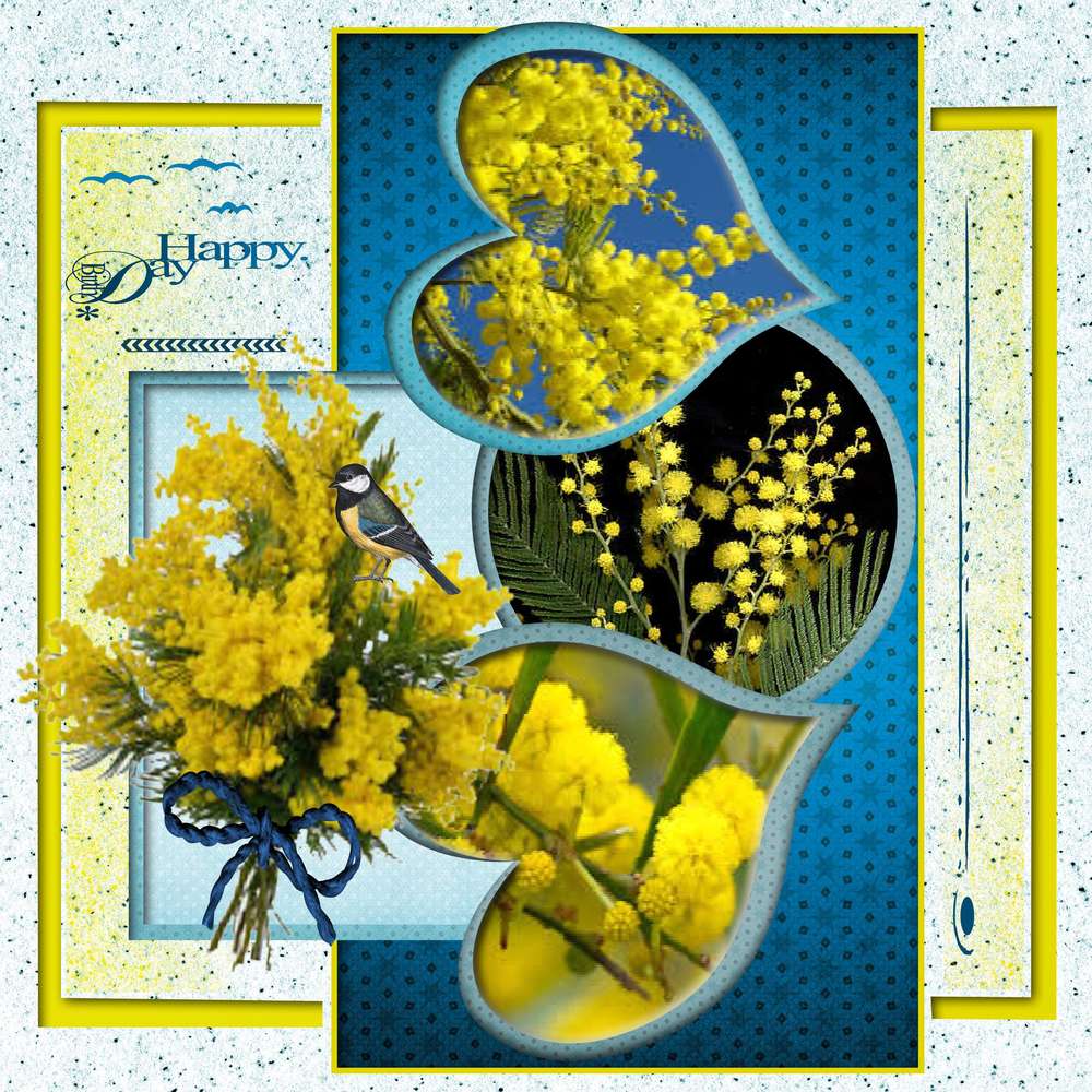 nicole c'est ton jour