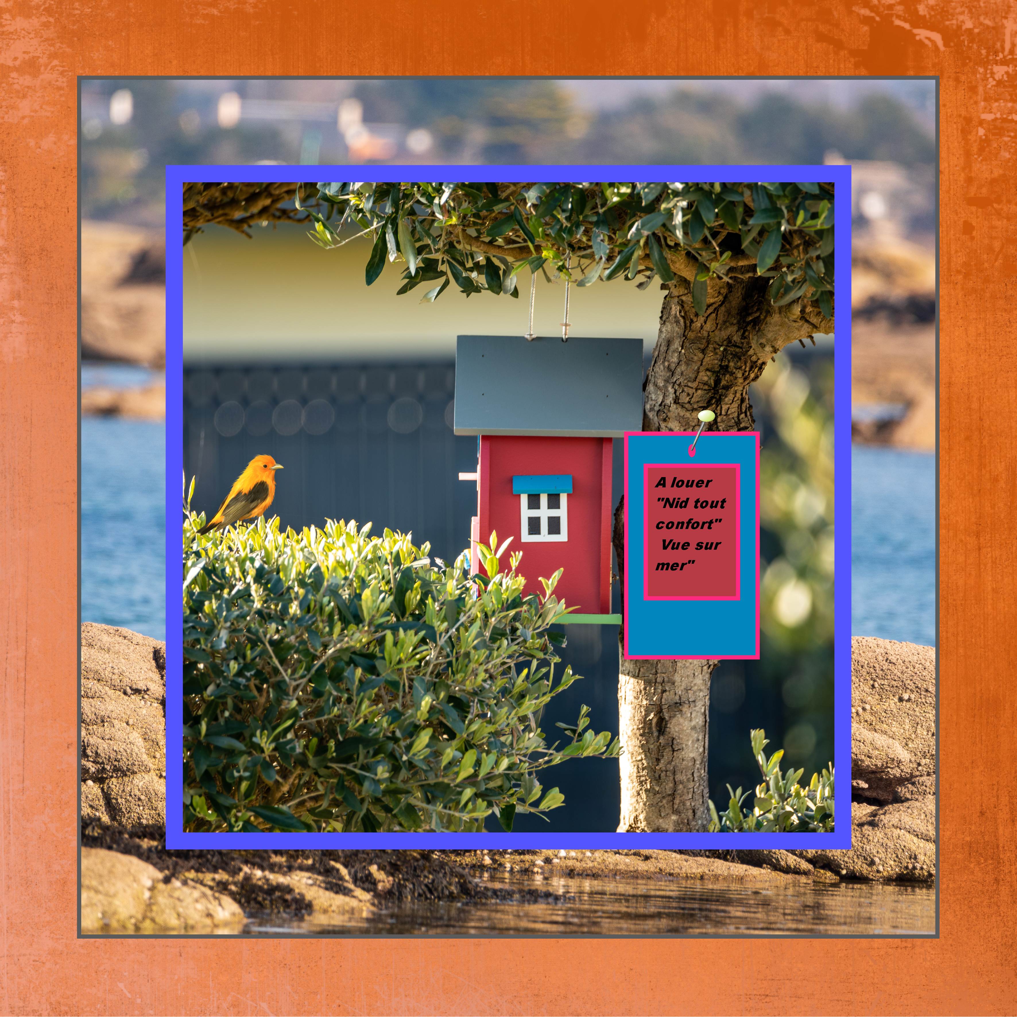 Nid tout confort.jpg