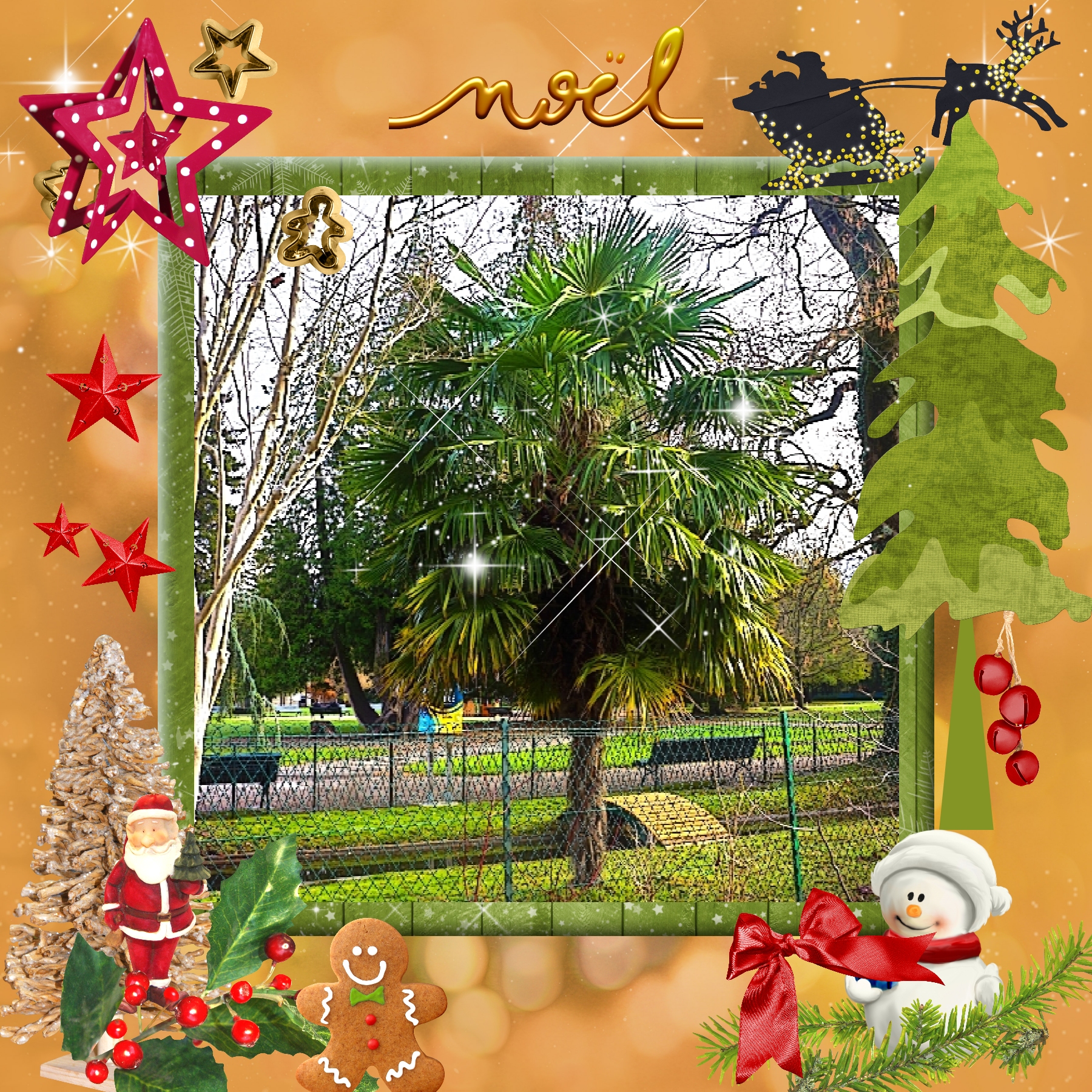 Noël 10 12 2020.jpg