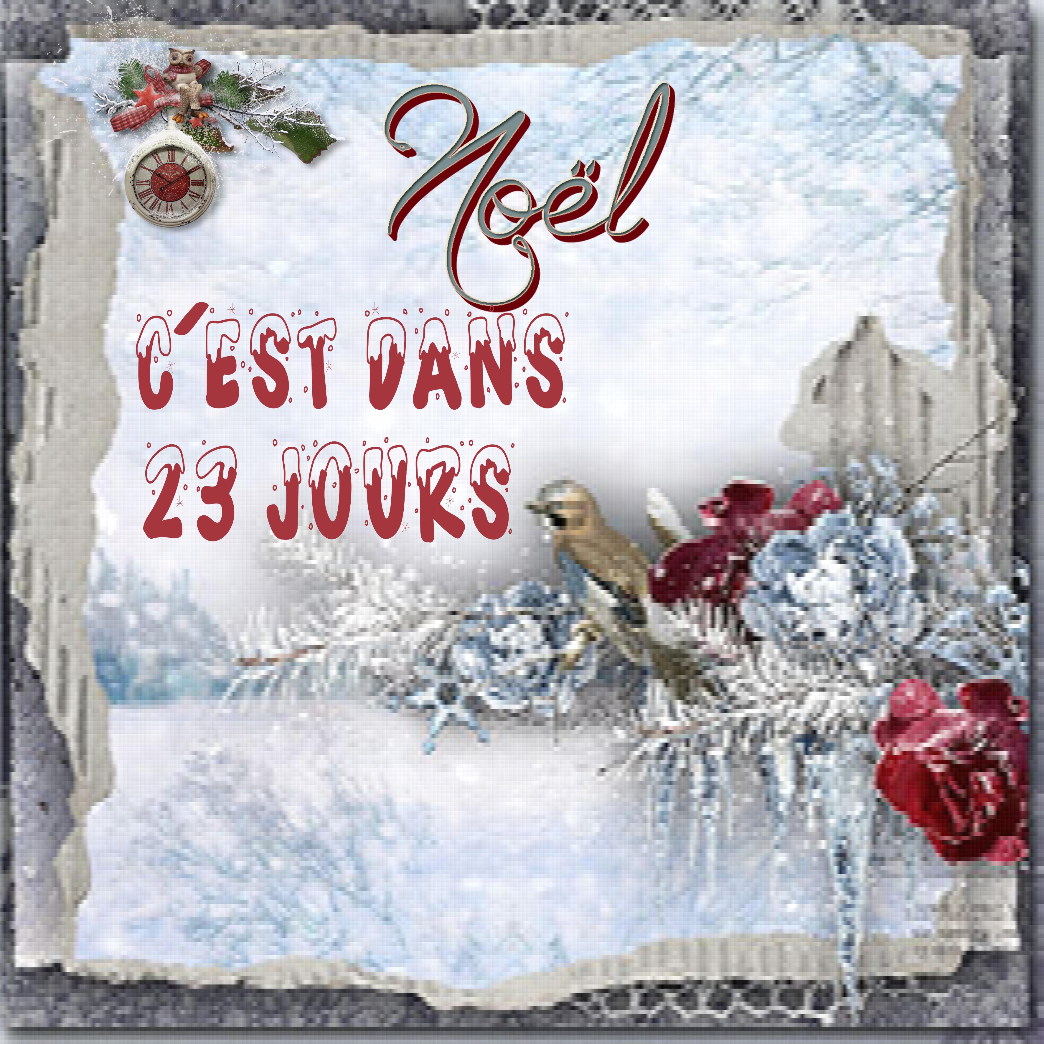 noel c'est dans 23 jours.jpg