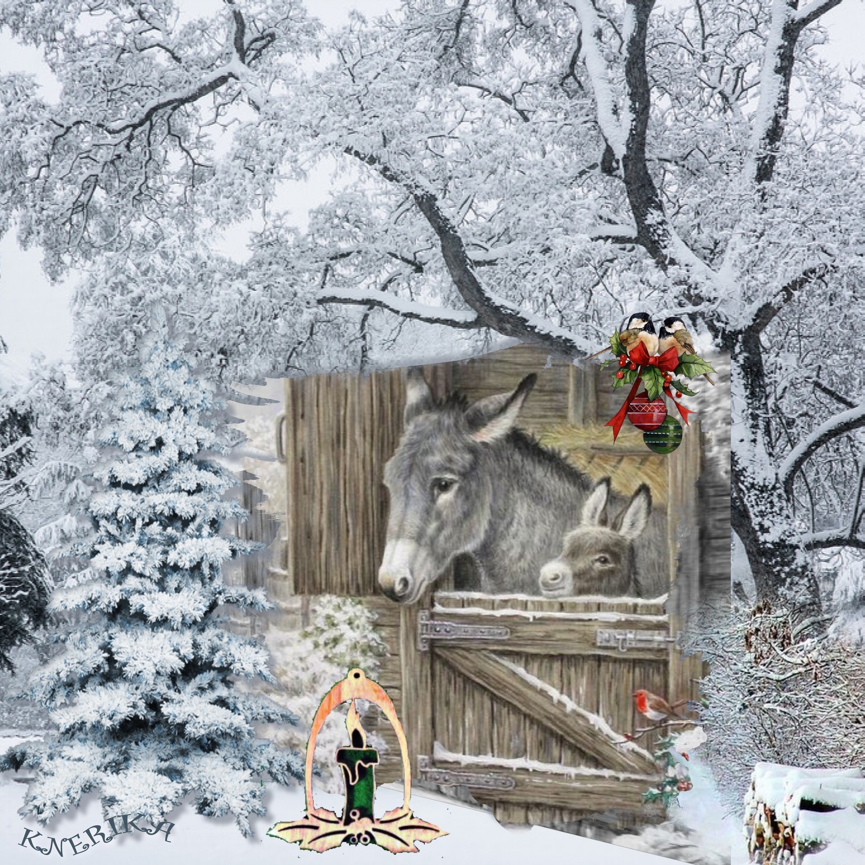 noël des ânes_Anne Marie.jpg