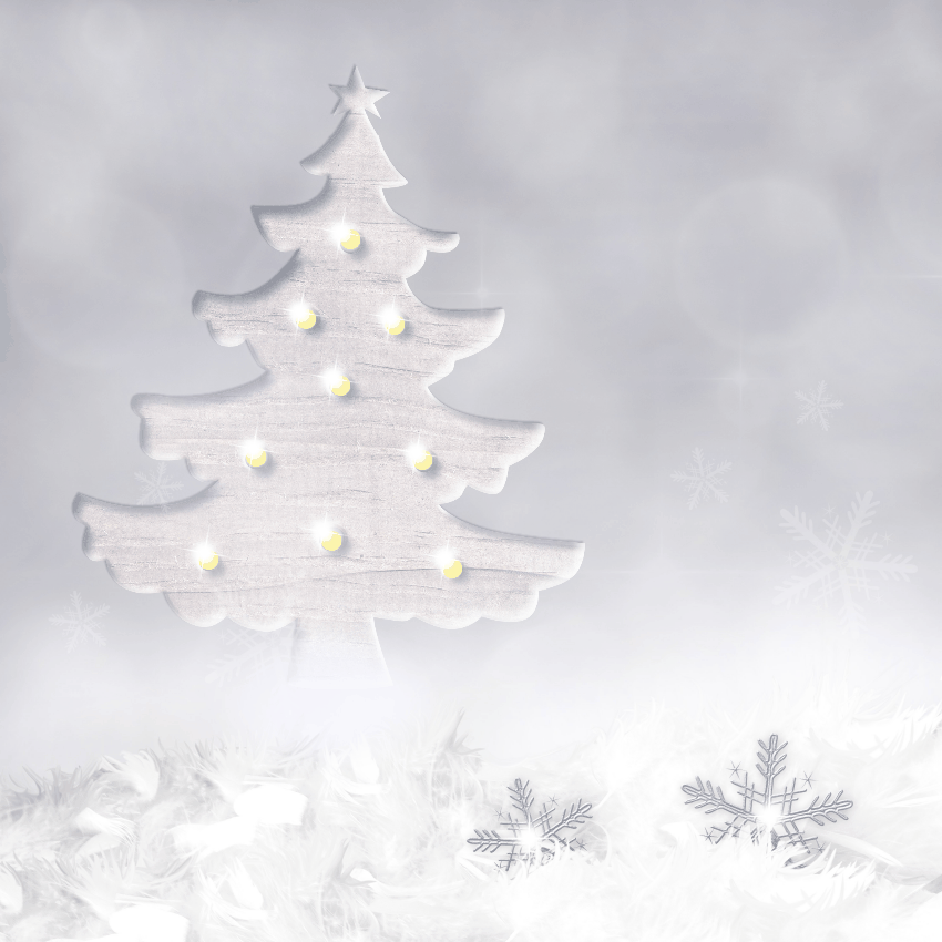 noelavecstudioscrap 1