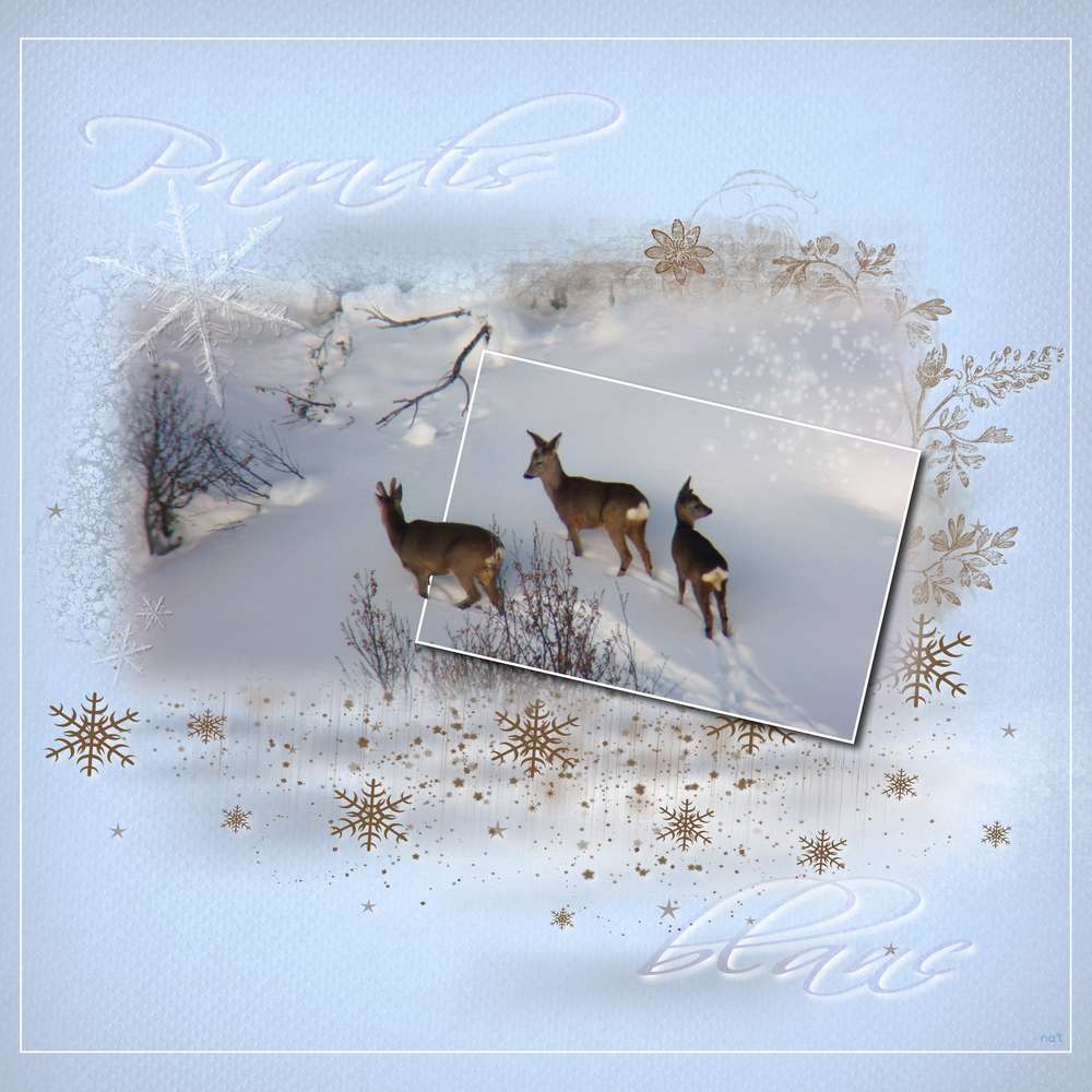 noelavecstudioscrap 2 neige