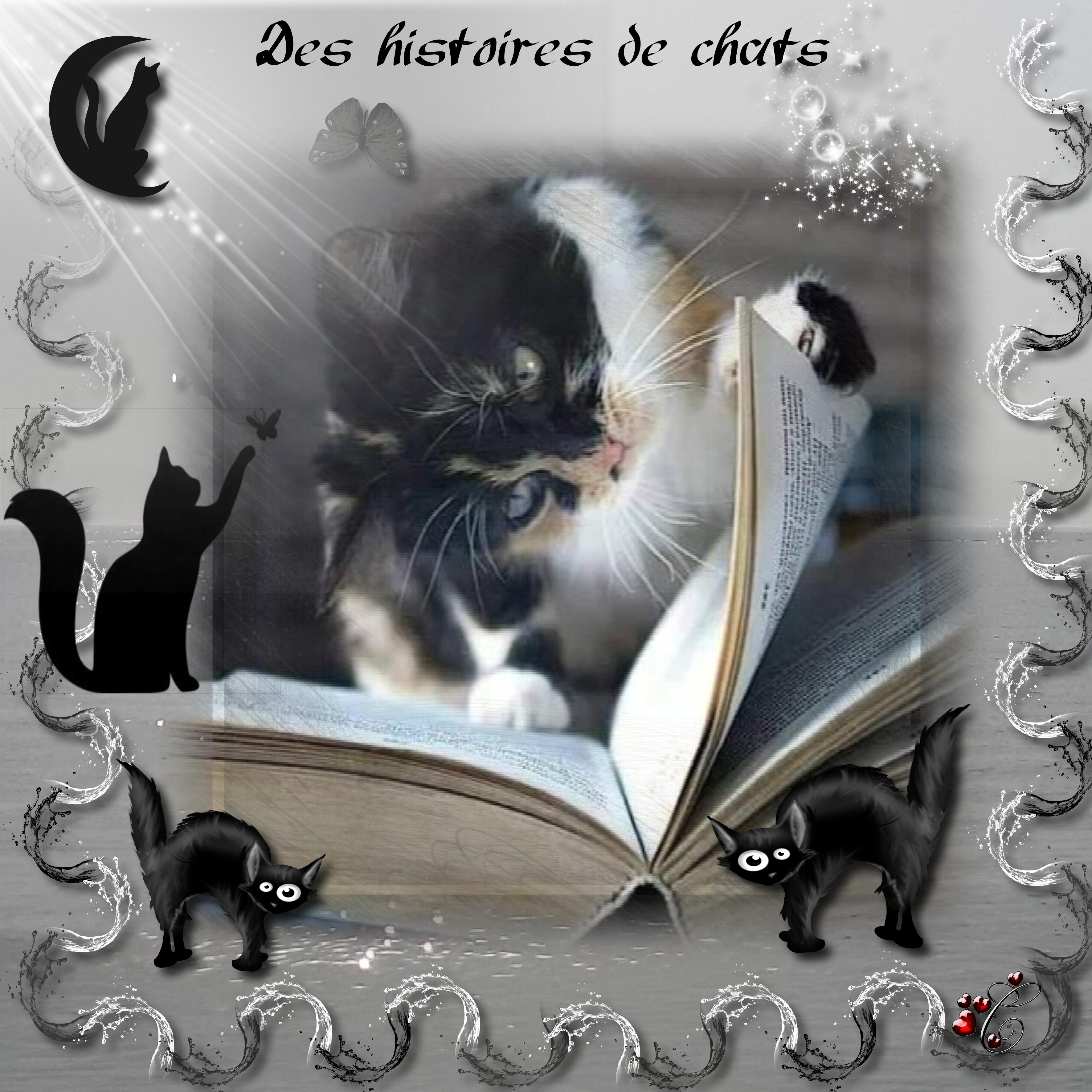 Noir et blanc Christine.jpg