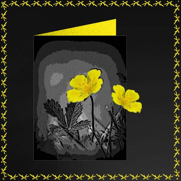 Noir et jaune