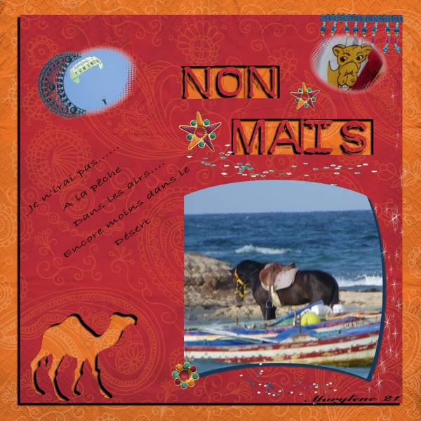 NON, MAIS !!! - Défi Max animaux