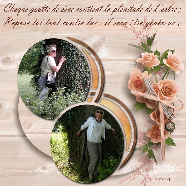Nos amis les arbres