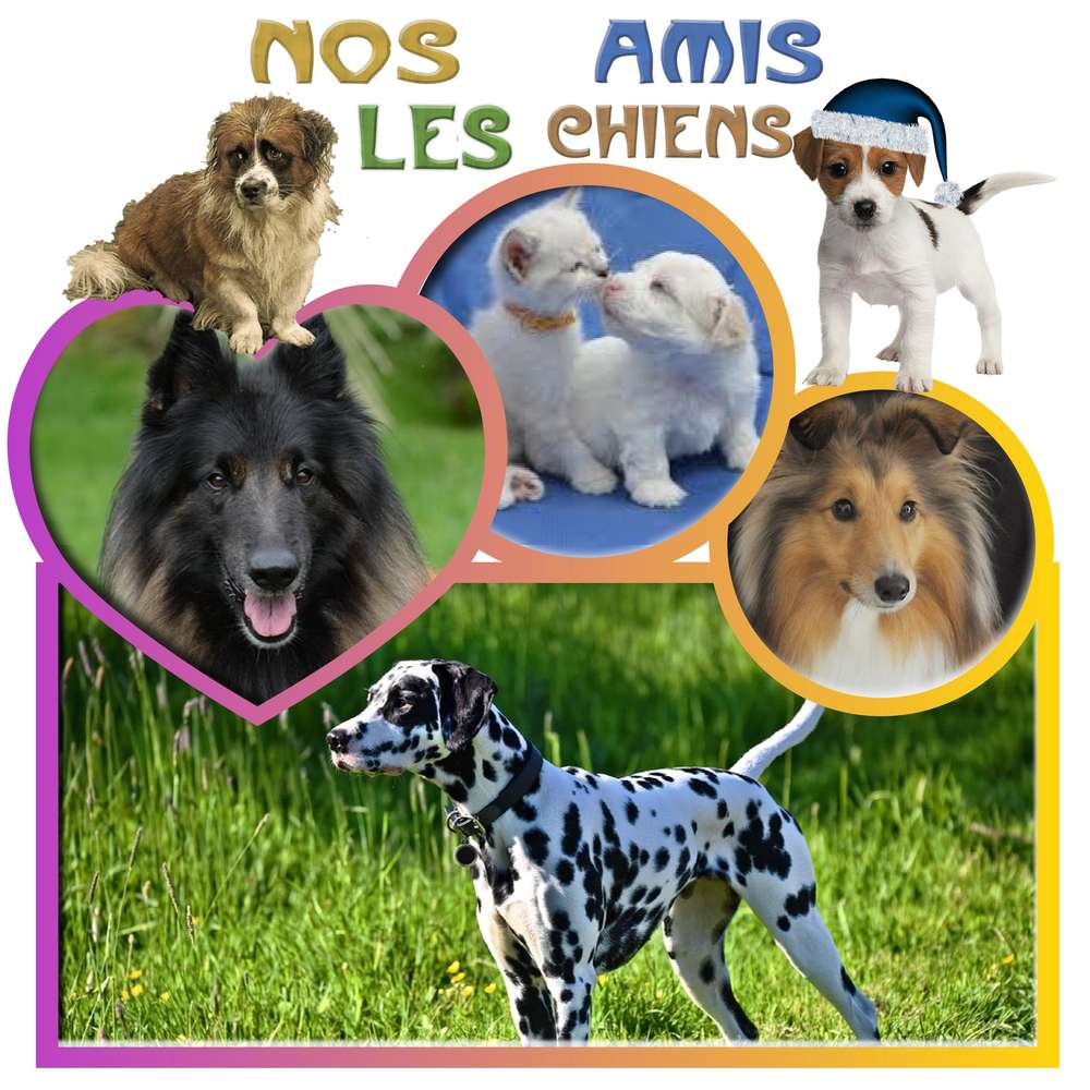 nos amis les chiens