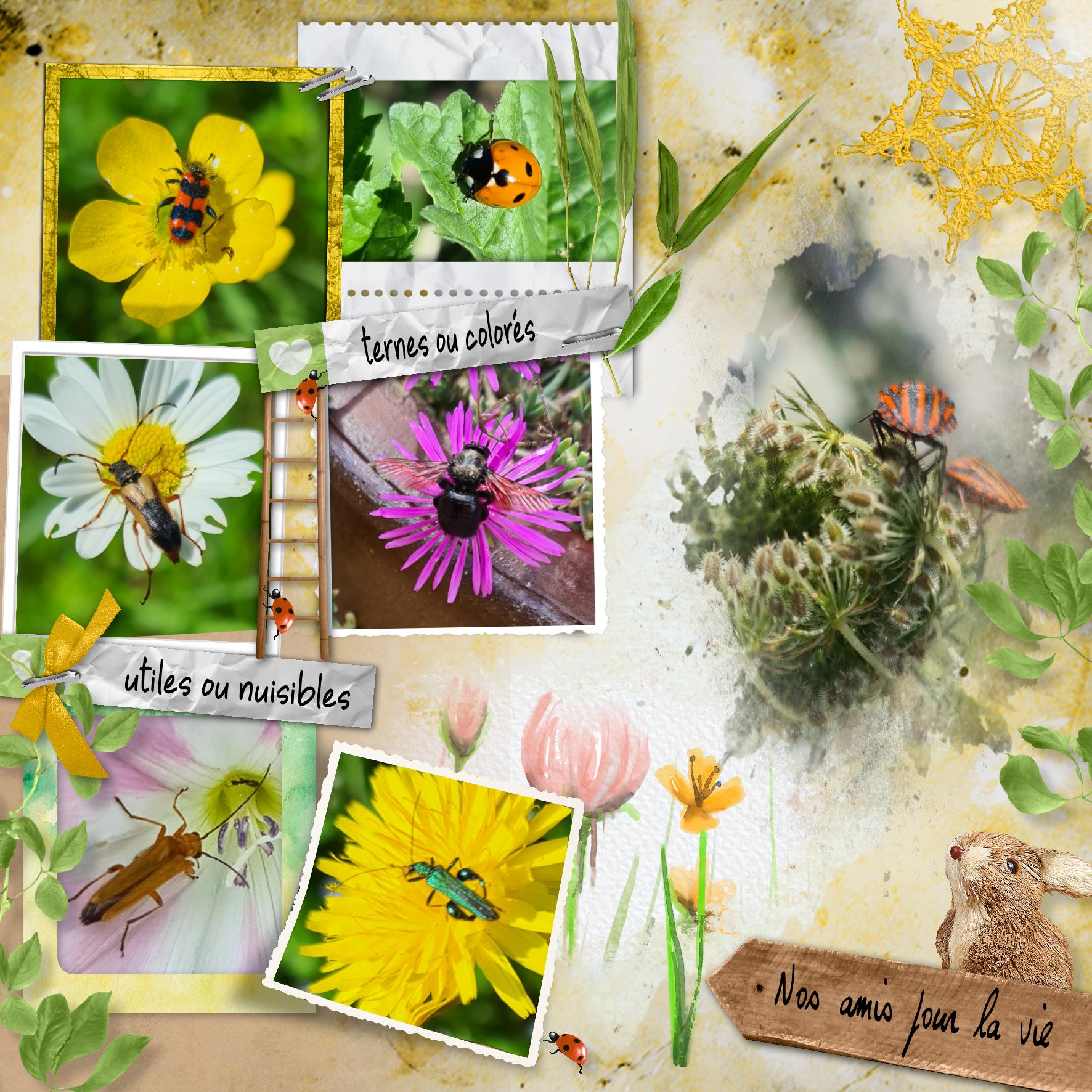 nos amis pour la vie .jpg