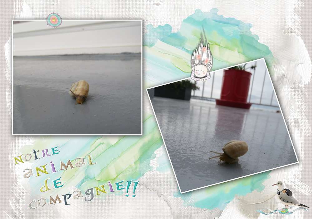 Notre animal de compagnie.....