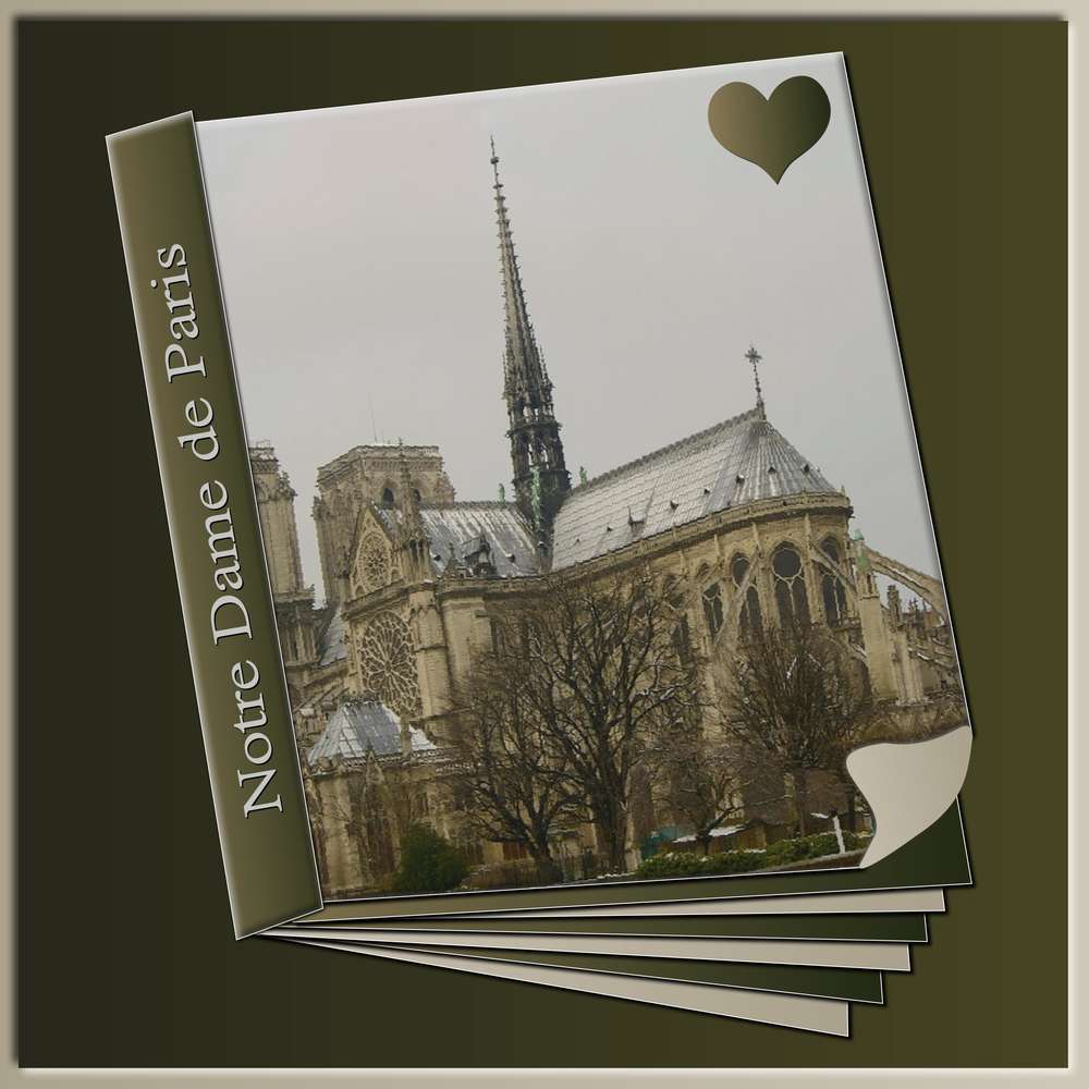 NOTRE DAME DE PARIS - "NOUS LA REBATIRONS TOUS ENSEMBLE"