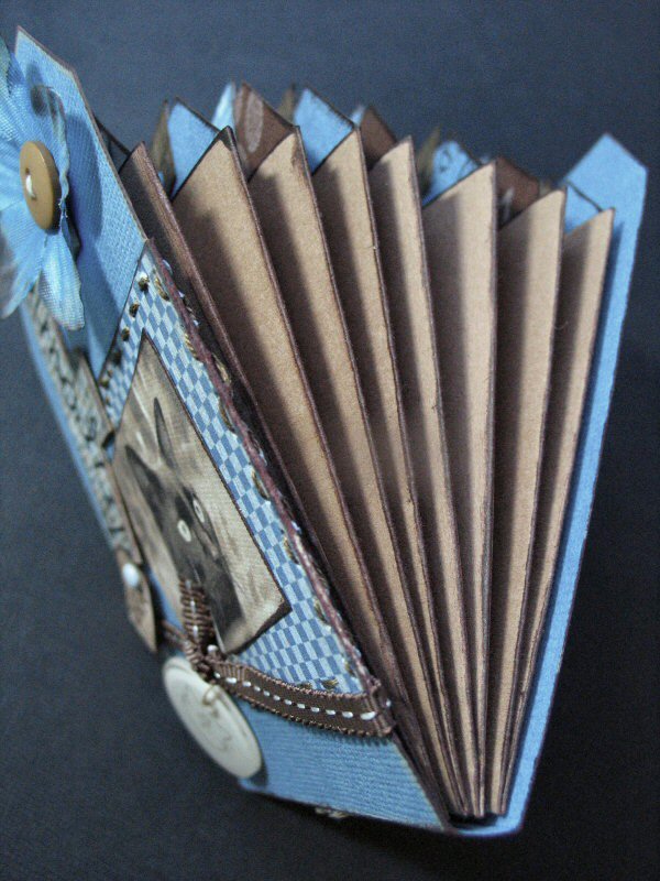 Notre jolie Fripoune - côté de l'album