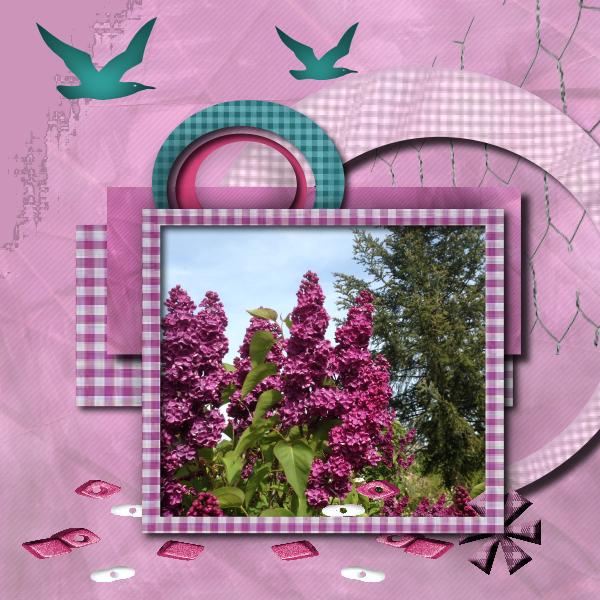 Notre lilas
