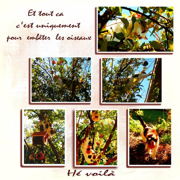 notre petite minette