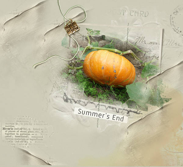 Notre potager !...
