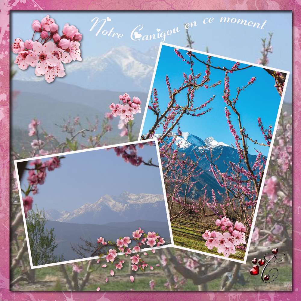 notre_canigou_en_ce_moment_avec_cadre