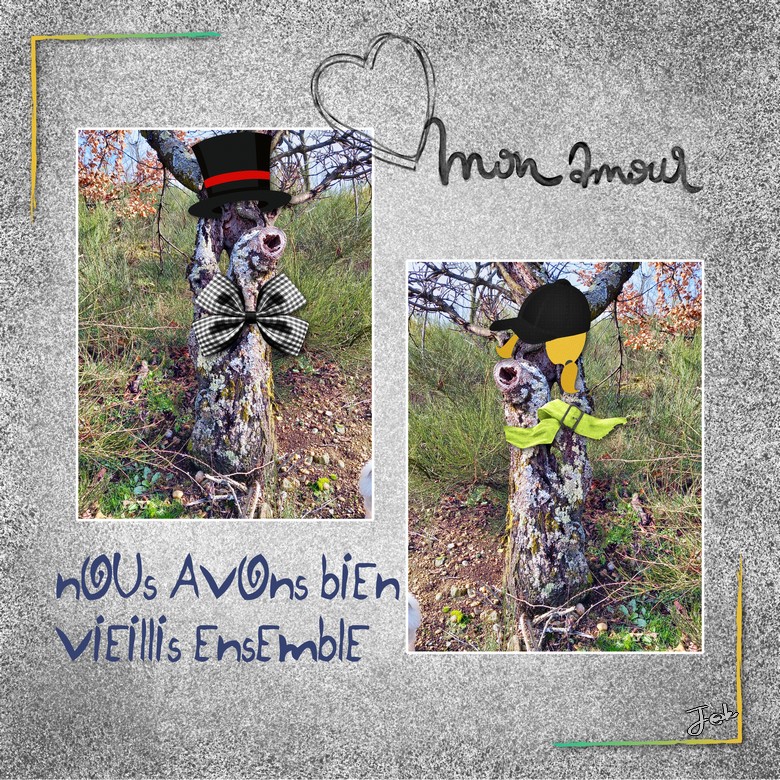 NOUS AVONS BIEN VIEILLIS ENSEMBLE.jpg