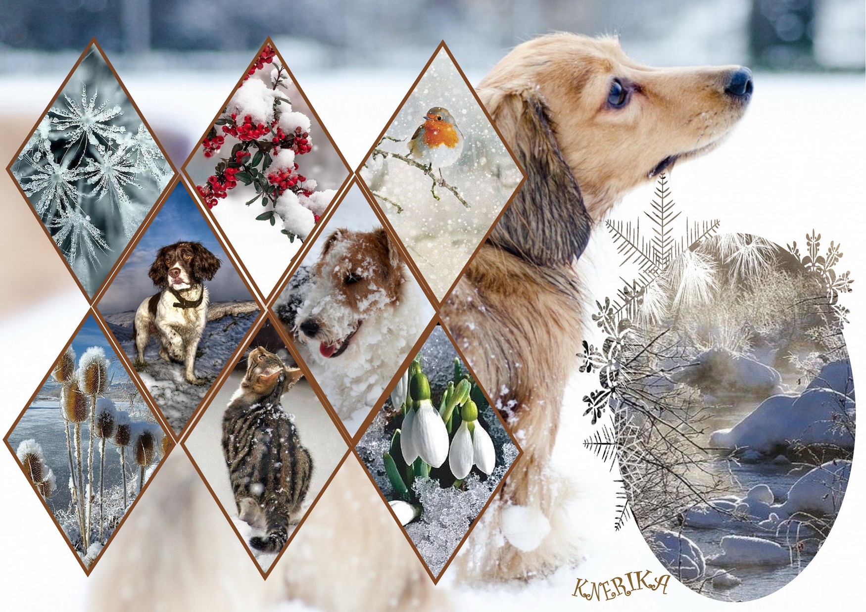 nous sommes transis_Anne Marie.jpg