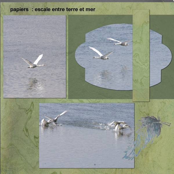 nouveau kit gratuit chez PBS