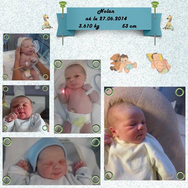 nouveau venu dans la famille