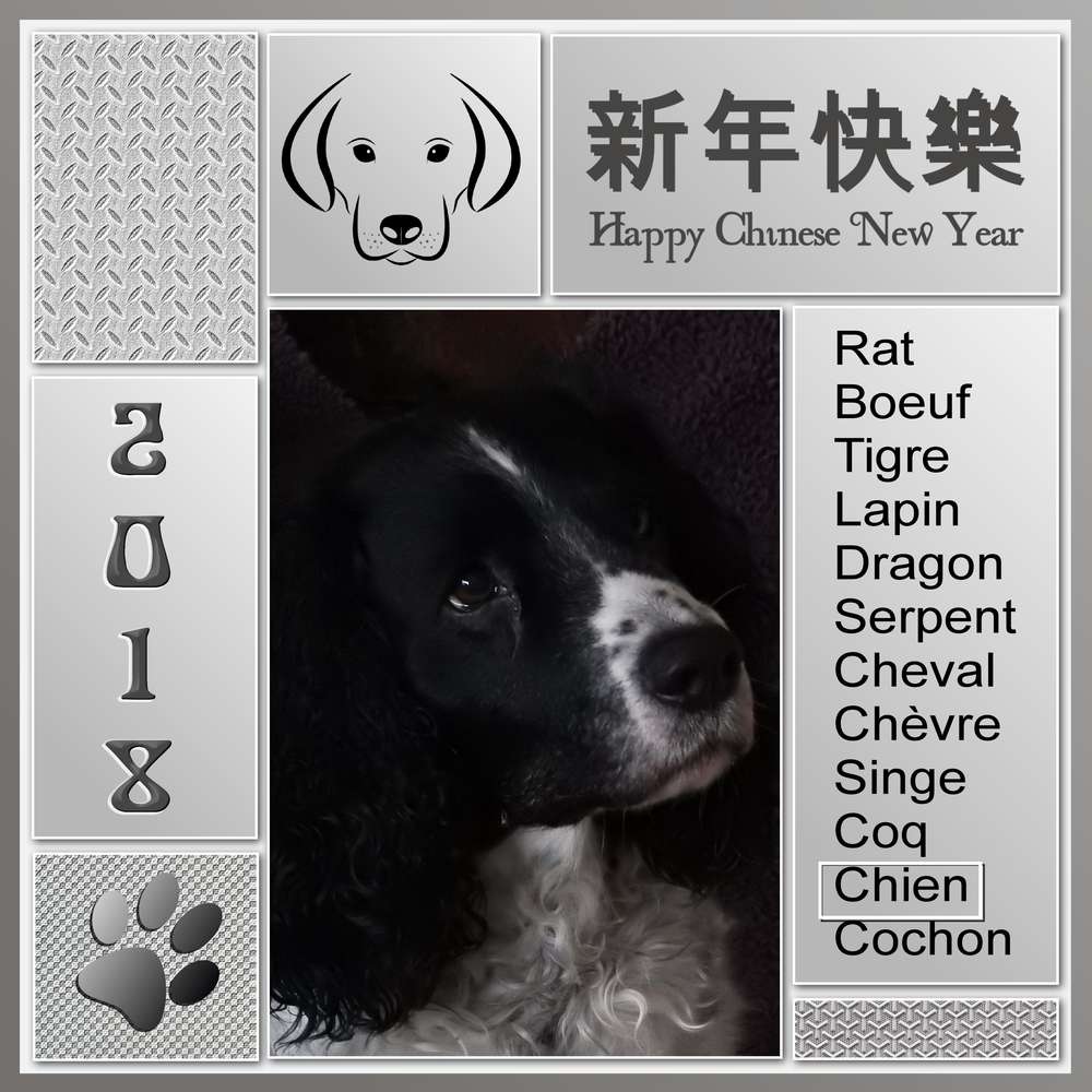 NOUVEL AN CHINOIS 2018